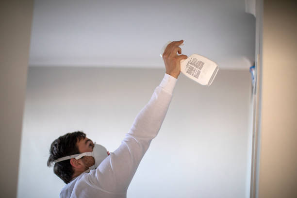 Best Post-Flood Mold Remediation in Martindale, TX