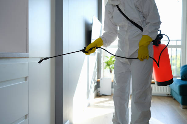 Best Kitchen Mold Remediation in Martindale, TX